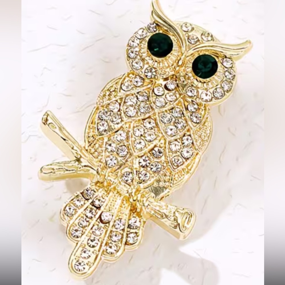 Gold Owl brooch with Crystals nwt
